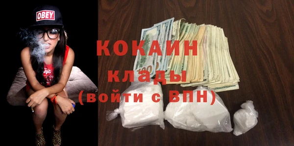 прущие грибы Беломорск