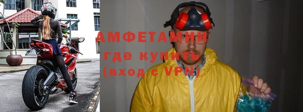 прущие грибы Беломорск