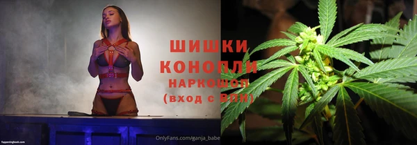 прущие грибы Беломорск
