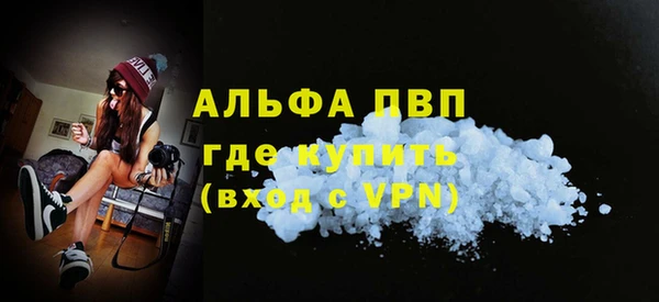 прущие грибы Белокуриха