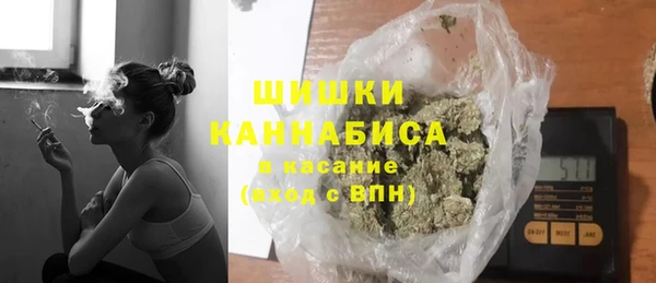 прущие грибы Белокуриха