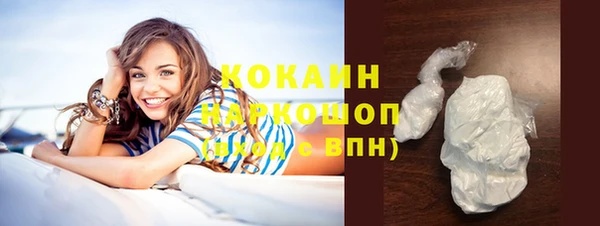 прущие грибы Белокуриха
