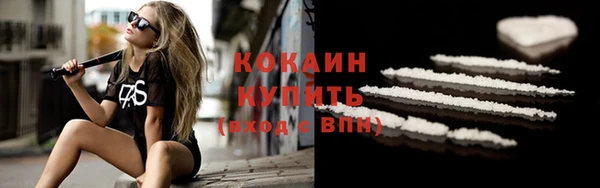 прущие грибы Беломорск