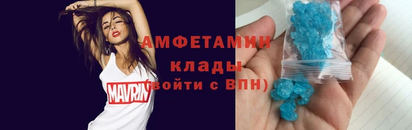 прущие грибы Беломорск
