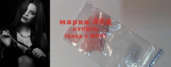 прущие грибы Белокуриха