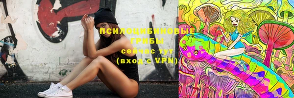 прущие грибы Белокуриха