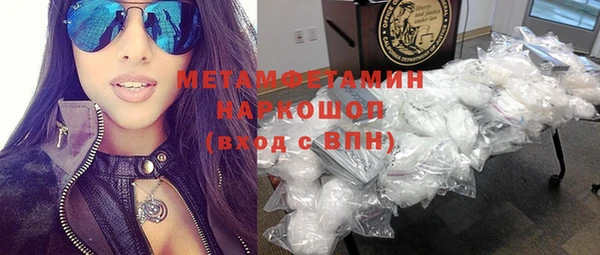 прущие грибы Белокуриха