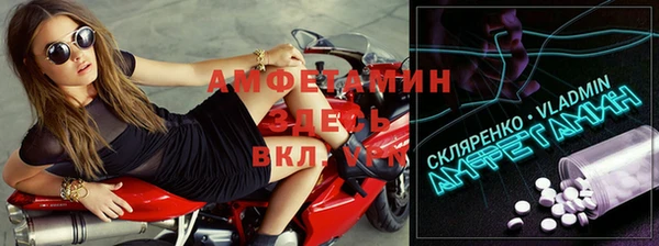 прущие грибы Белокуриха