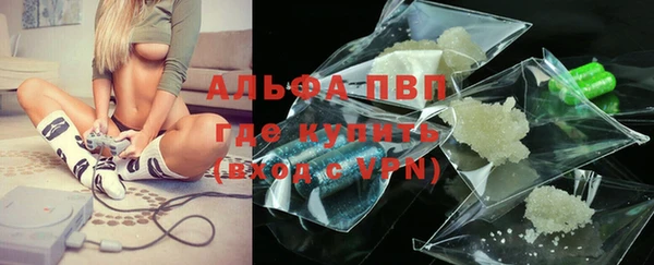 прущие грибы Беломорск